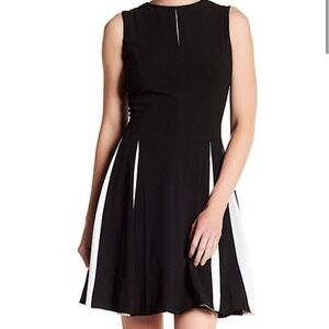 Taylor Black and White Mini Dress